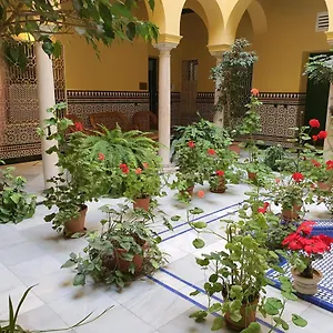  Apartamento Estudio Centro Con Cocina España